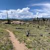 Sublime, flowy stroll through some downed forest with open views to the west.