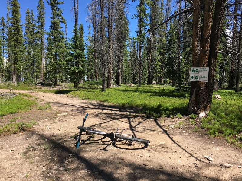 Intersection of Lower Roof of the Rockies and Fantasy Meadow.