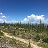 Overlooking the Pioneer Lift at Winter Park Trestle bike park.