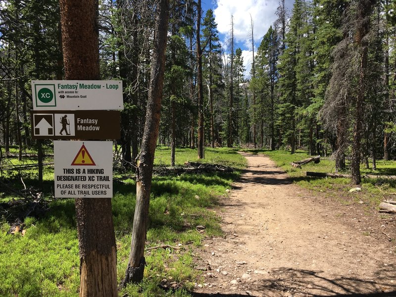 The start of Fantasy Meadow cross country loop, starting from Lower Roof of the Rockies.