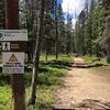 The start of Fantasy Meadow cross country loop, starting from Lower Roof of the Rockies.