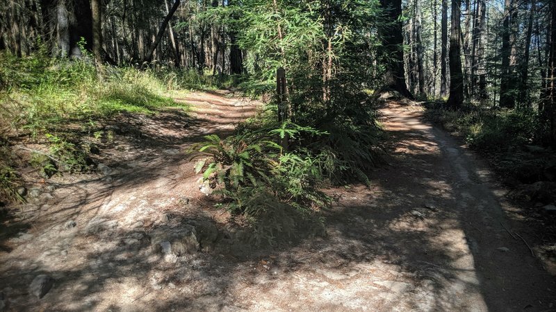 Marsh and Ridge Trails.