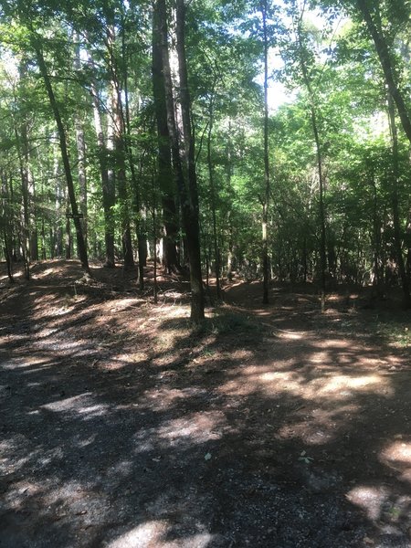 Rapunzel is the trail seen on the right of this photo.  You can see the trailhead and sign for CCC to the left. They are parallel but separate trails.