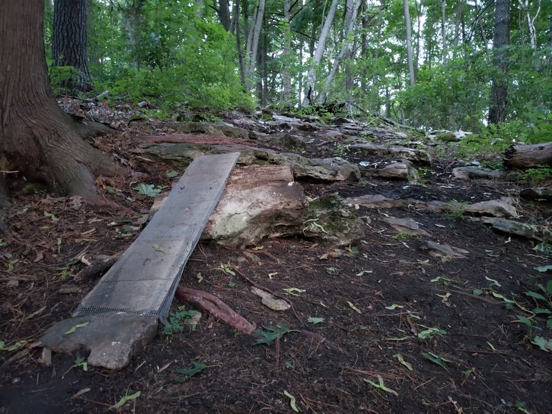 Log ramp -- "fast 'n easy line."