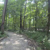 Trail entrance from Lewis Center Road.