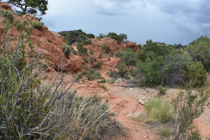 This is at the start of the trail before you reach the fork where you decide, left to go clockwise or right to go counter-clockwise?