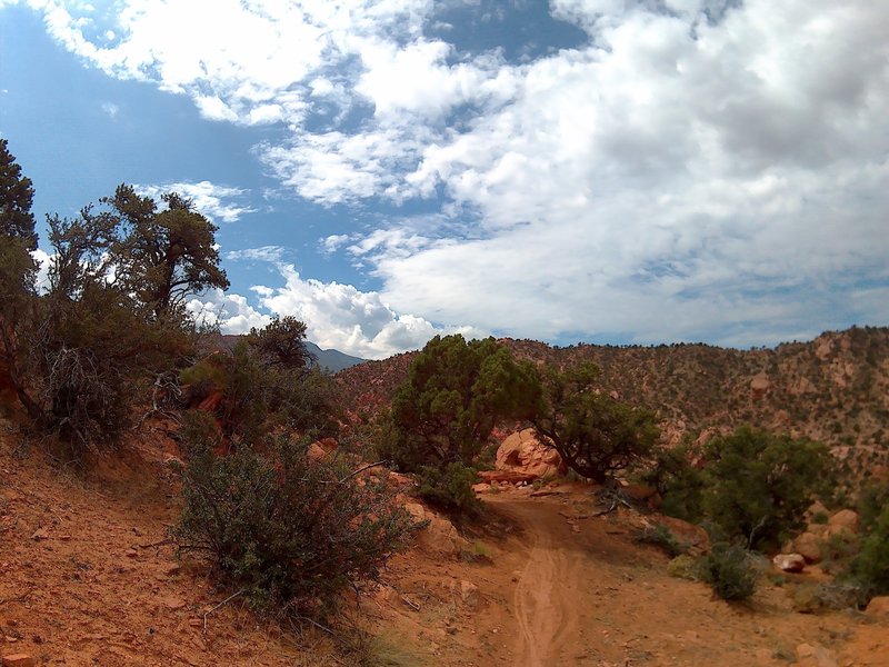 This is on the south side of the loop looking southeast.