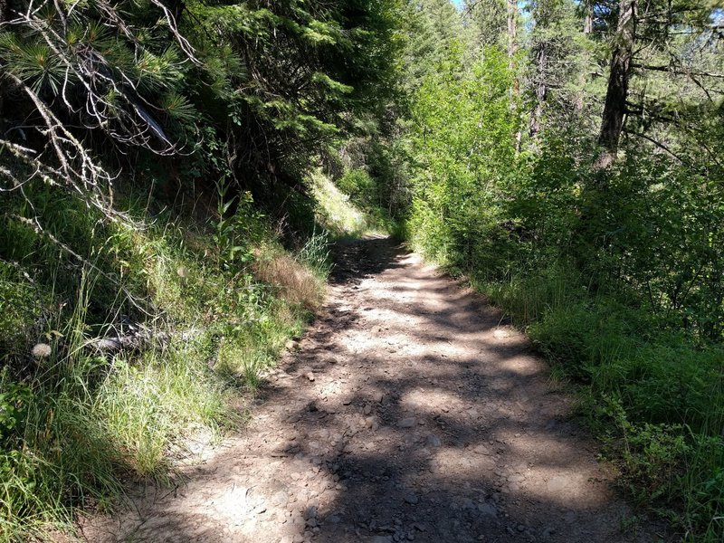 Doubletrack portion of the trail.