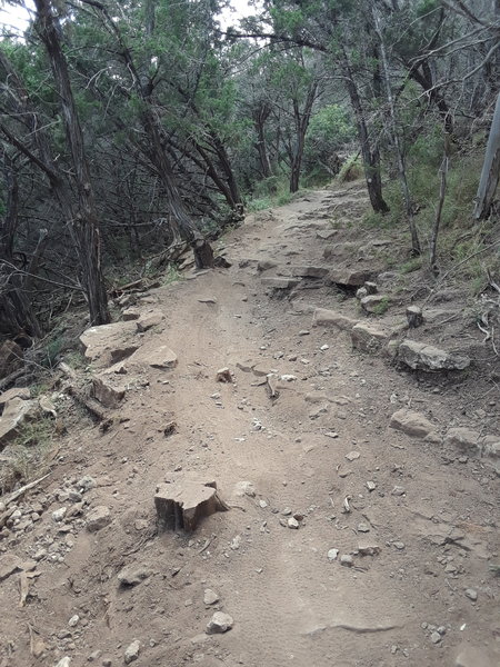 A section of the rocky descents along the lower portion of Vipers Den.