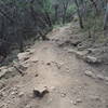 A section of the rocky descents along the lower portion of Vipers Den.