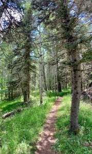 Pristine trails...super easy to access and very well marked !