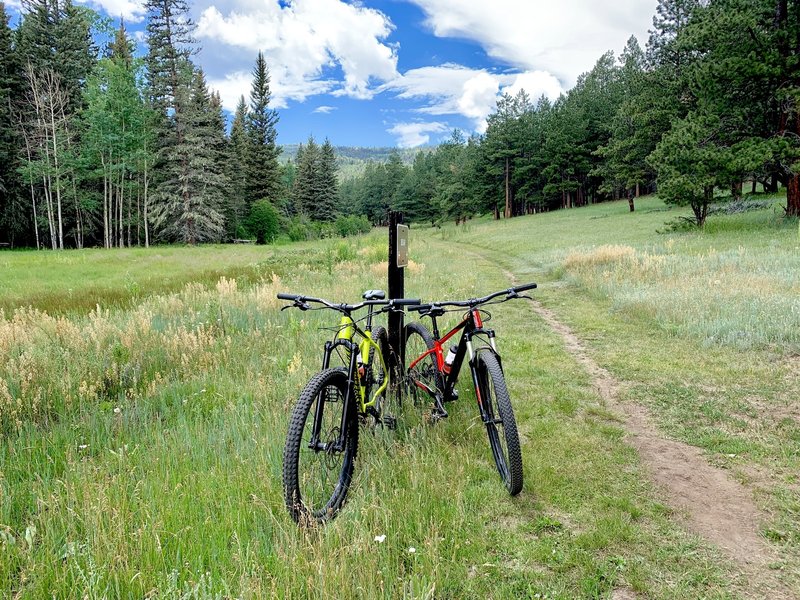 Bear Meadow Trail -- Angel Fire Valley.