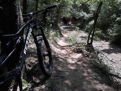 Dorba mountain sales bike trails