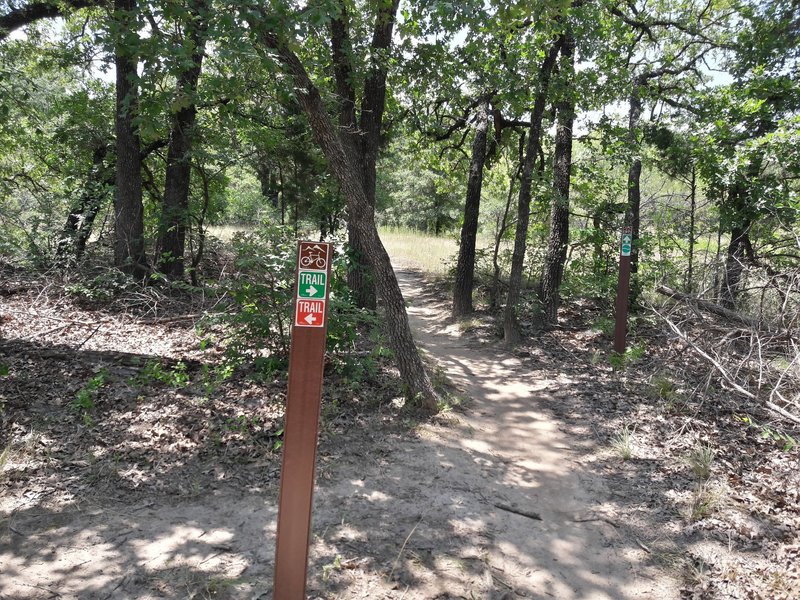 Typical trail marker; start of the expert-only section.