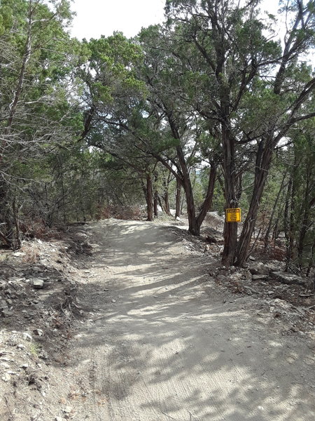 Rollers leading up to a berm along Recluse.