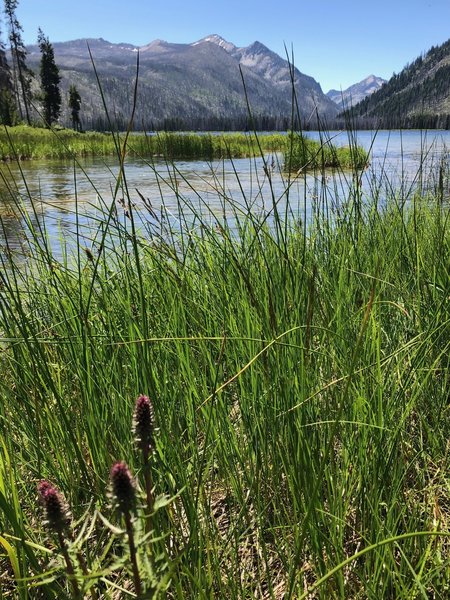 Loon Lake and Outlet