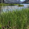 Loon Lake and Outlet