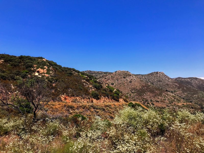 Looking down the first section of the trail