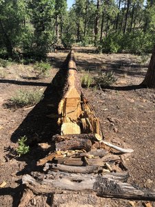 Off the trail a bit - but worth the search ...