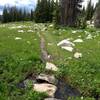 Numerous small stream crossings in great meadows.