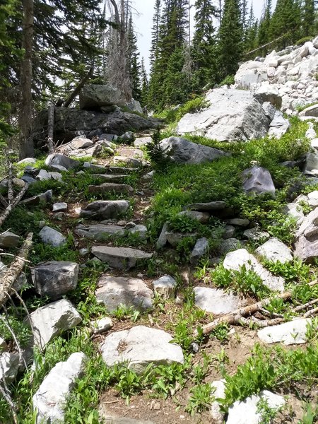 Steep rocky sections near the bottom of the east side of the trail.