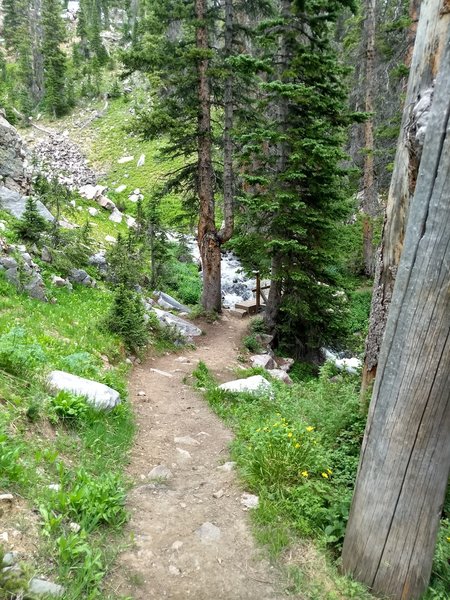 Trail crosses South French Creek via a narrow foot bridge.