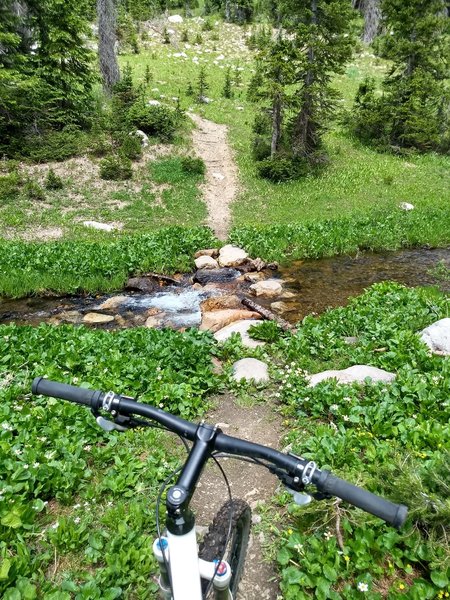 Trail crosses the upper section of South French Creek via rock bridge. I couldn't ride it, maybe next time!