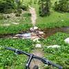 Trail crosses the upper section of South French Creek via rock bridge. I couldn't ride it, maybe next time!