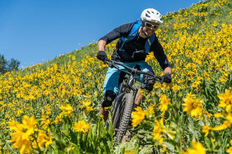 The wildflowers on Deer Creek in the summer of 2019 were amazing!