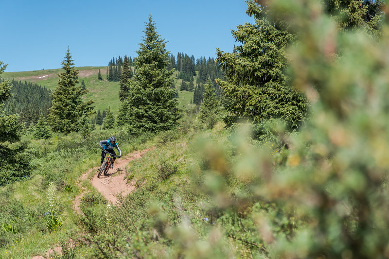 Fast, flowy, and the perfect pitch for not touching your brakes for about 3 miles.