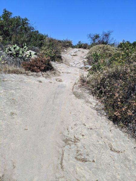 You can come down most of these steep rock sections with a lot of speed.