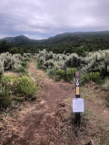 Start of trailhead from Buckhorn Traverse.