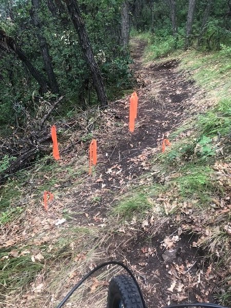 Barbed wire fence (end of trail for now).