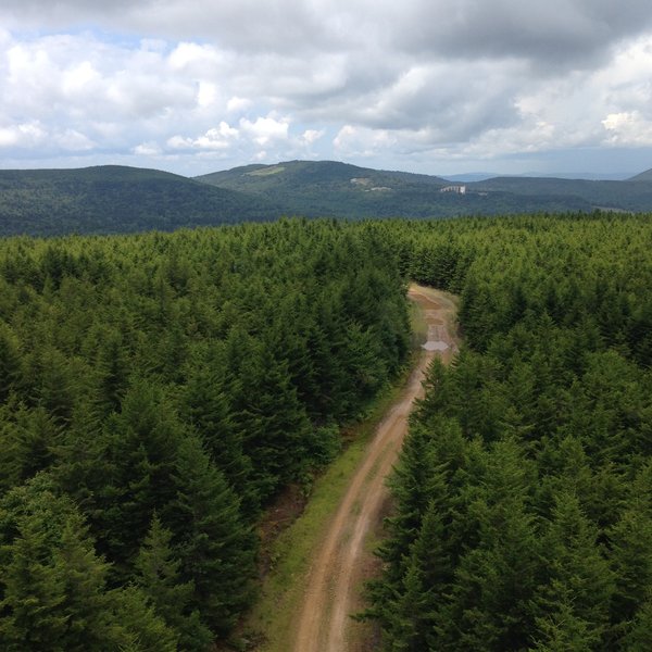 Fire Tower Trail