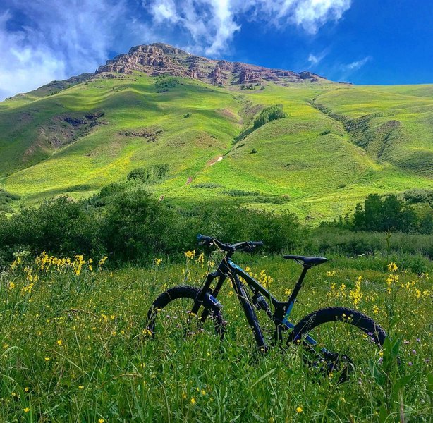 Looking forward to the singletrack climb.