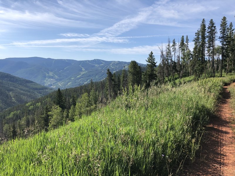 Buffehr Creek Loop Mountain Bike Trail, Vail, Colorado