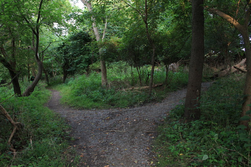 This is the split about 50 feet down from the entrance near Blue Slide Playground. Horse Trough begins on the left. Photo taken standing on lower Bench, which proceeds out to the right where the sign stands.