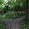 This is the split about 50 feet down from the entrance near Blue Slide Playground. Horse Trough begins on the left. Photo taken standing on lower Bench, which proceeds out to the right where the sign stands.