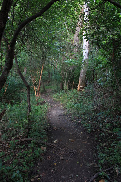 This is the newly routed section above the former (until 1963) golf fairway, frequently damp during rainy seasons, because it was originally made to be flat.