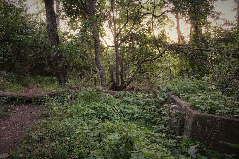 The Horse Trough can be easily missed due to foliage overgrowth. It is at the boundary of a former golf course bridle trail (until 1963), and the location where evidence was found in an August 15, 1979 crime before the development of public-access trails.