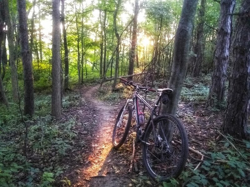 Sunset on the hillside section