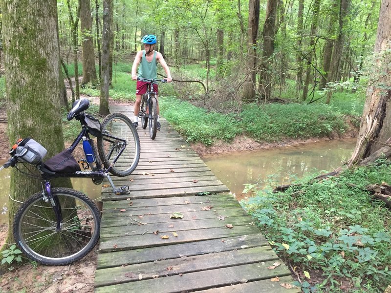 Trail is well maintained. Most bridges are in this condition.