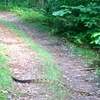 Timothy Burr on the stretch of gravel before the singletrack.