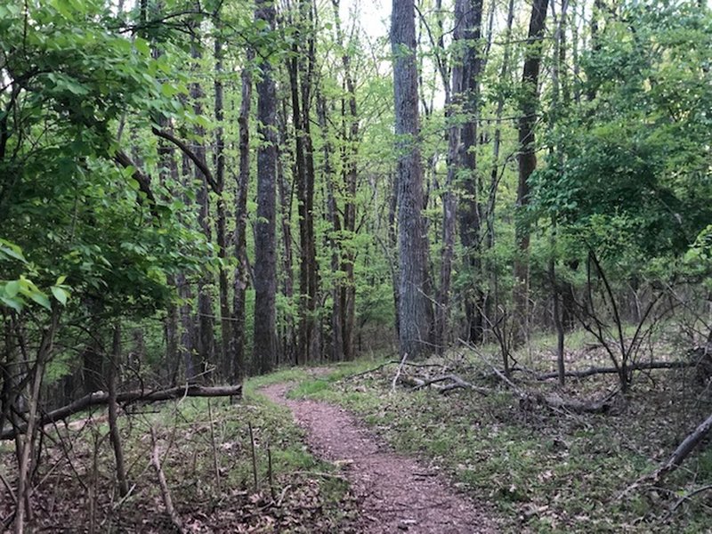 lock 4 mountain bike trail