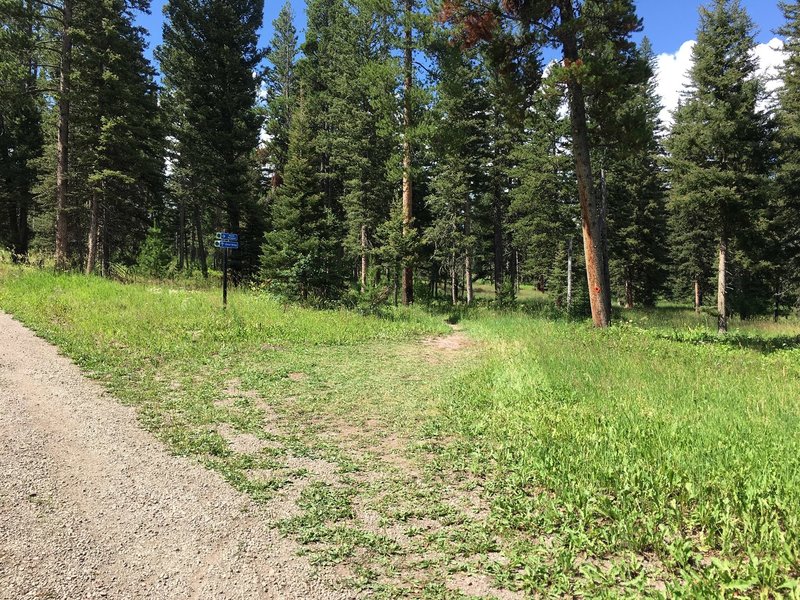 first drop into the singletrack after the main fork, this is a fun easy climb