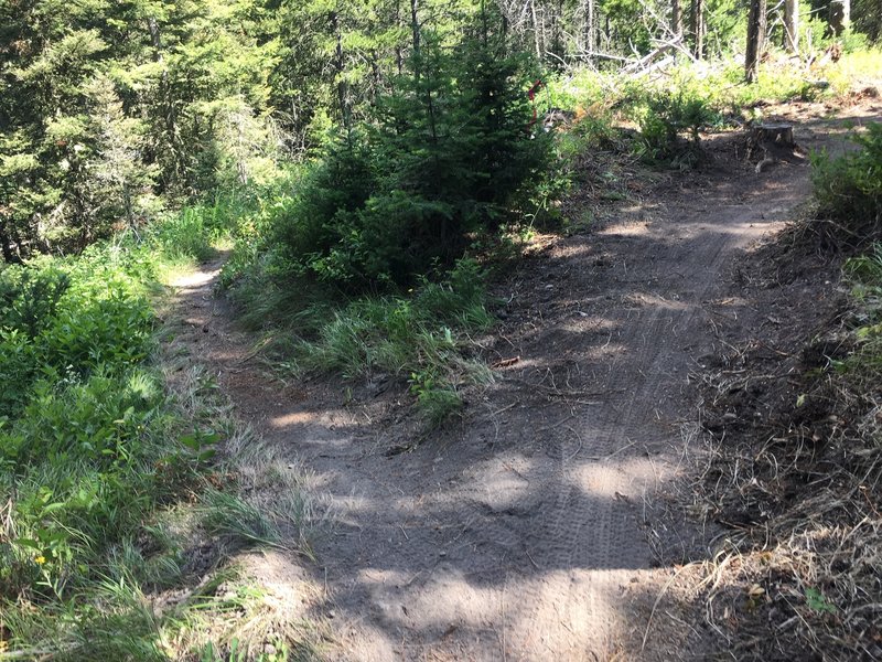 when riding the top section clockwise, go left for some of the steepest descents, or go right to hit the firewood for a more mellow descent.