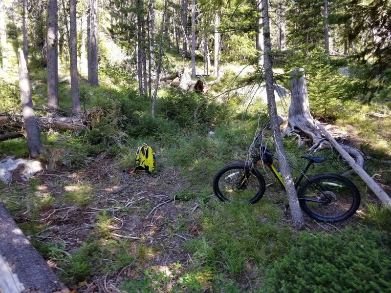 Near a meadow where the trails basically disappears, the GPS tracks are mere suggestions and just before loading the bike on my back on the really steep climb, at around 3.5 / 3.6 miles in (from Deadwood Reservoir).