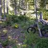 Near a meadow where the trails basically disappears, the GPS tracks are mere suggestions and just before loading the bike on my back on the really steep climb, at around 3.5 / 3.6 miles in (from Deadwood Reservoir).