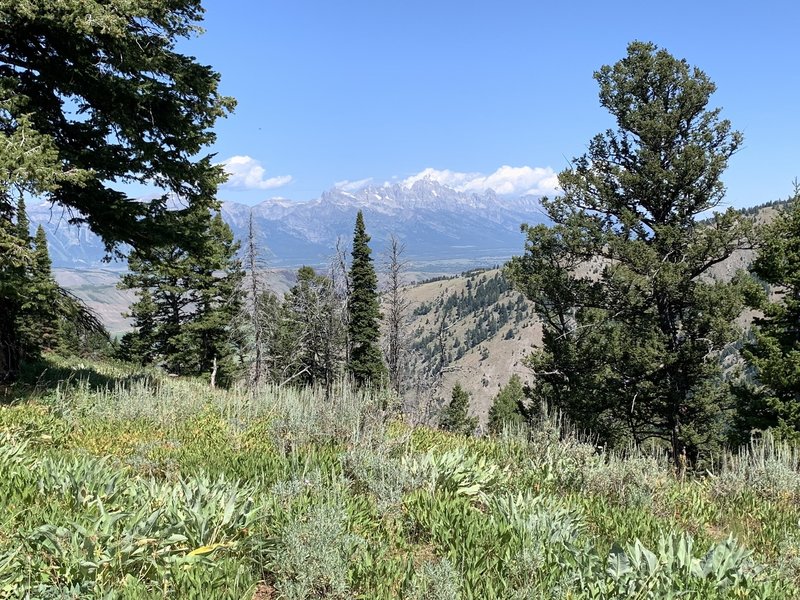 Teton Range from the Skyline Trail