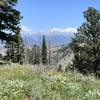 Teton Range from the Skyline Trail